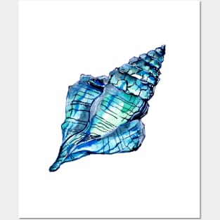 Blue Conch Sea Shell Posters and Art